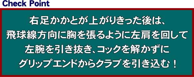 右足かかとが上がりきった後は、飛球線方向に胸を張るように左肩を回して左腕を引き抜き、コックを解かずにグリップエンドからクラブを引き込む！